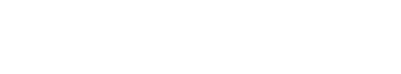 The American University in Cairo Logo Image.